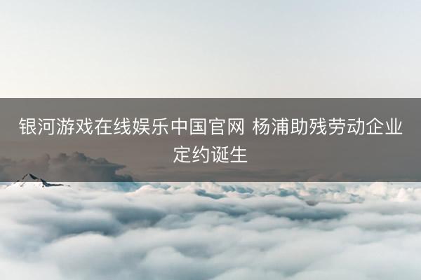 银河游戏在线娱乐中国官网 杨浦助残劳动企业定约诞生