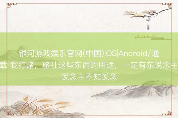 银河游戏娱乐官网(中国)IOS|Android/通用APP下载 我打赌，旅社这些东西的用途，一定有东说念主不知说念