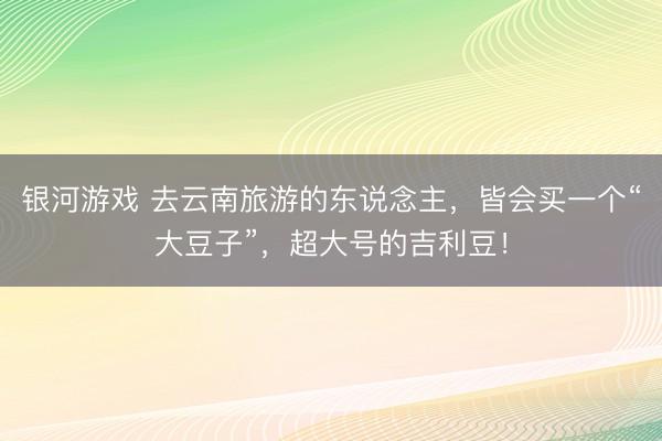 银河游戏 去云南旅游的东说念主，皆会买一个“大豆子”，超大号的吉利豆！