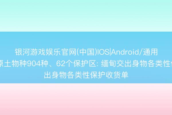 银河游戏娱乐官网(中国)IOS|Android/通用APP下载 原土物种904种、62个保护区: 缅甸交出身物各类性保护收货单