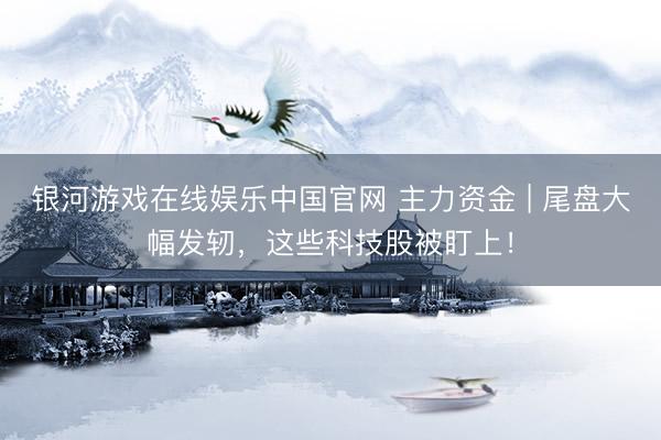 银河游戏在线娱乐中国官网 主力资金 | 尾盘大幅发轫，这些科技股被盯上！